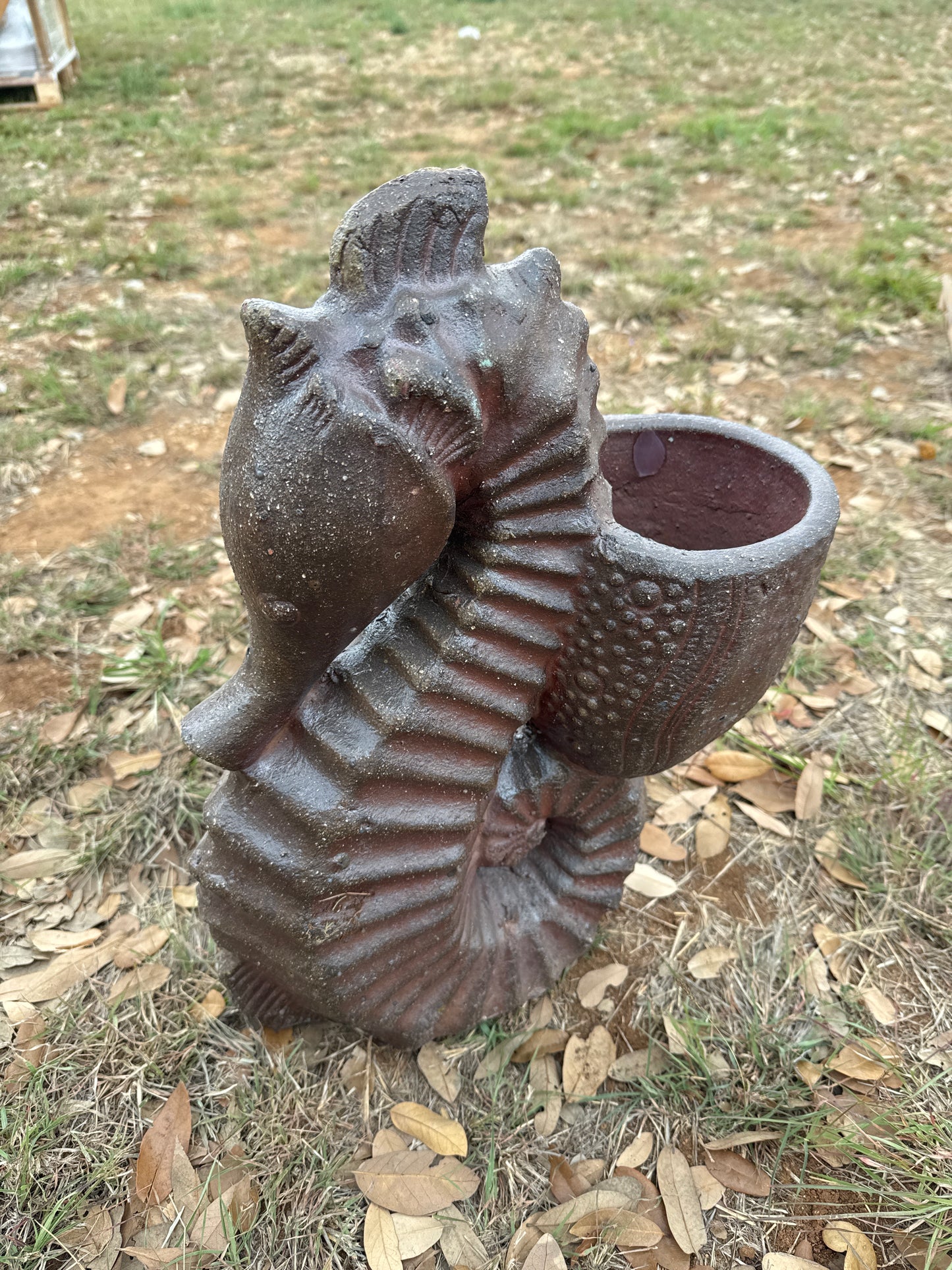 Black Clay Sea Horse Planter