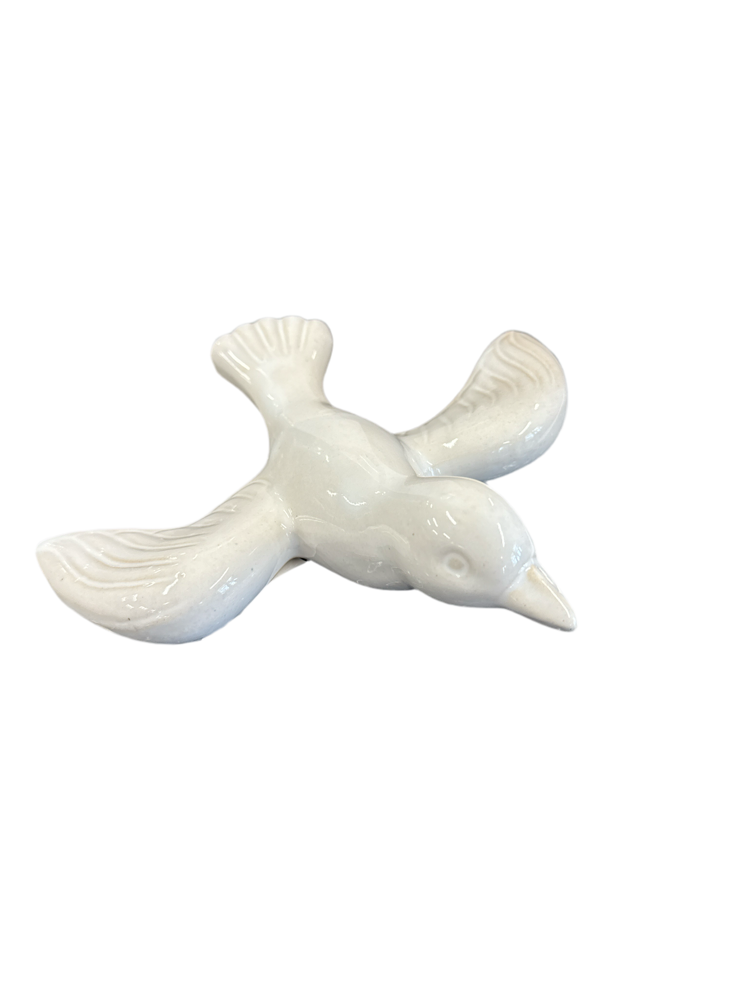 Shiny White Seagull