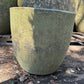 Green Atlantis Glazed 8"
