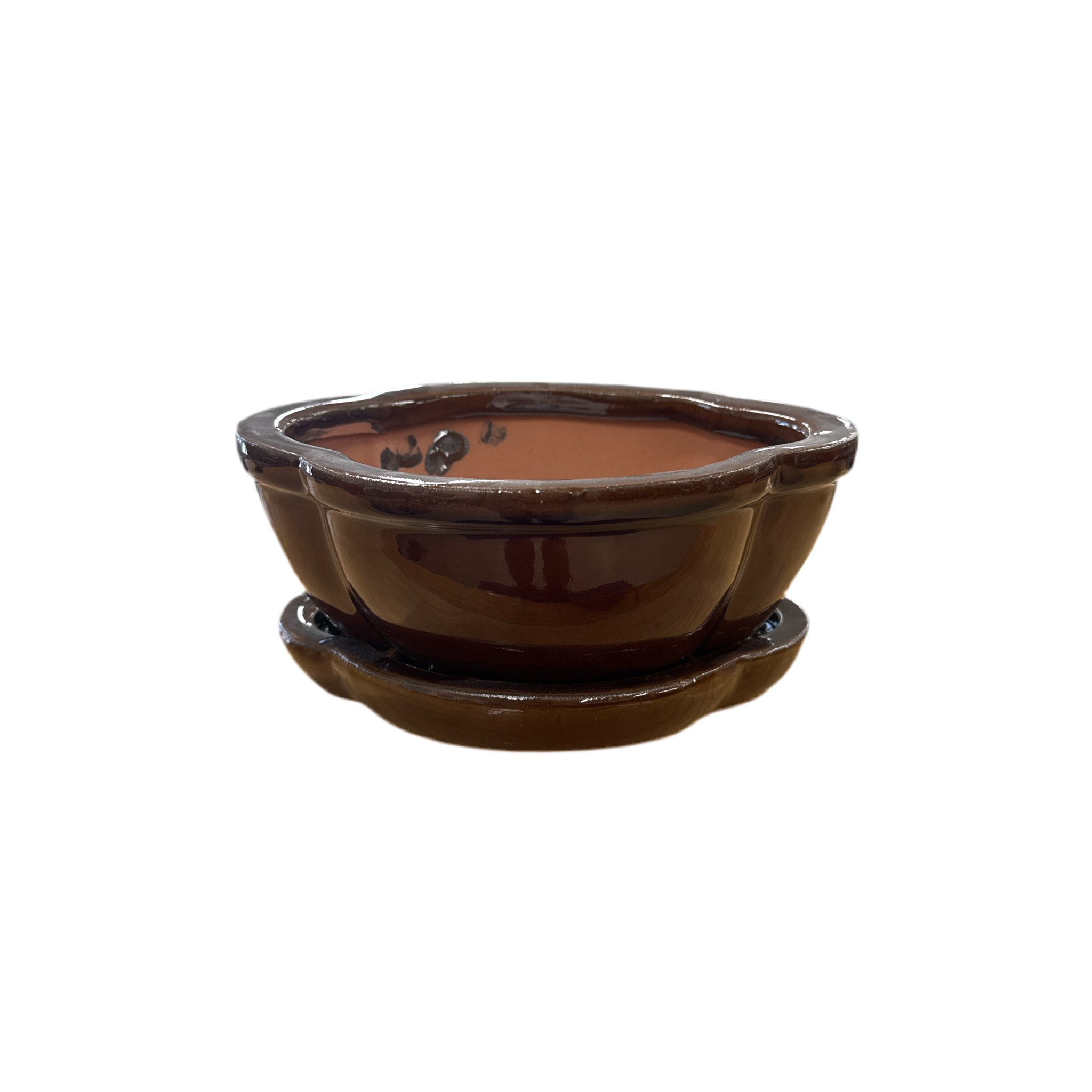 Clover Bonsai Pot