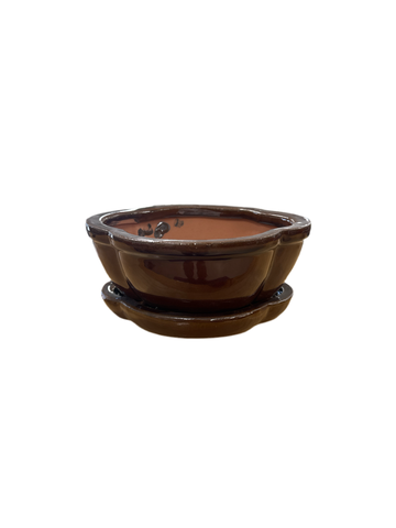 Clover Bonsai Pot