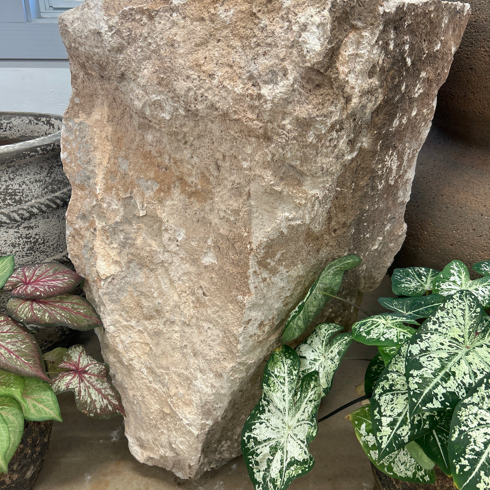 XL Tinaja Rock Planter