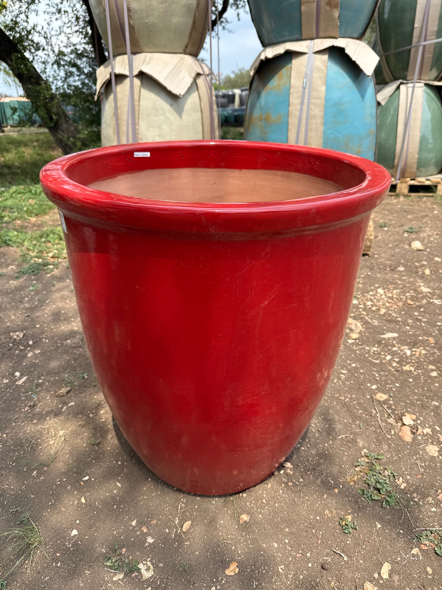 Tapered Rim Planter