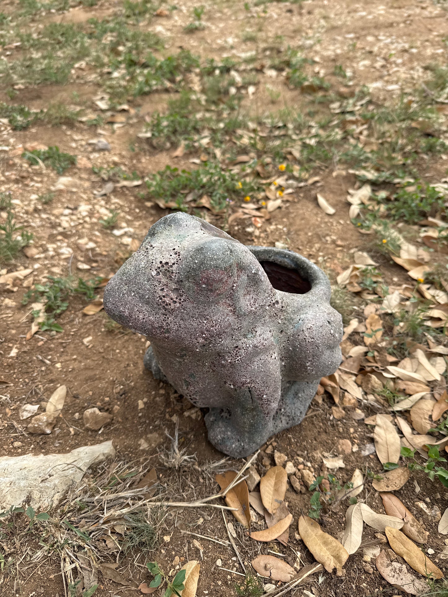 Oceanic Coral Frog Planter