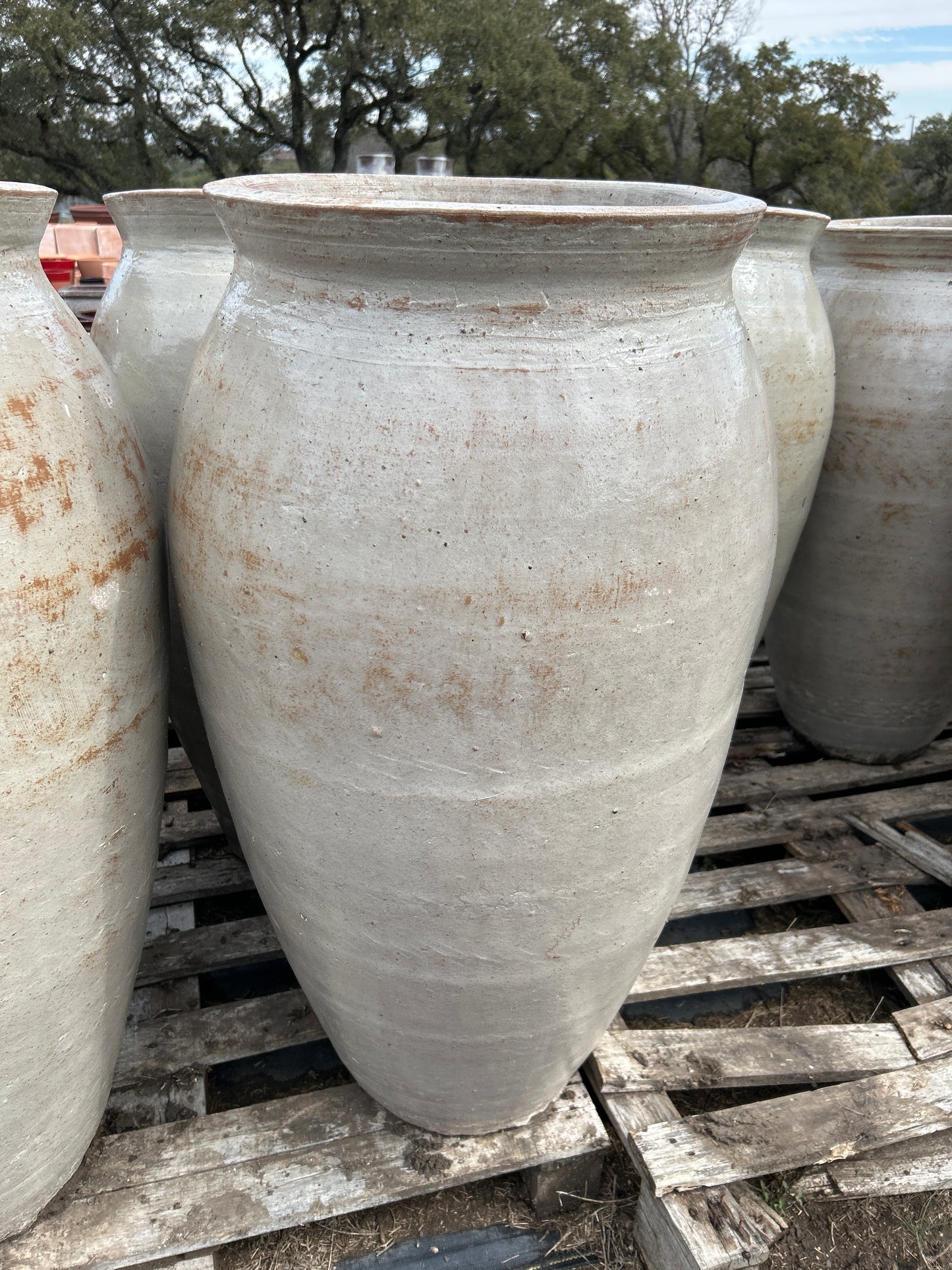 Rustic White Tall Bowed Vase 36"