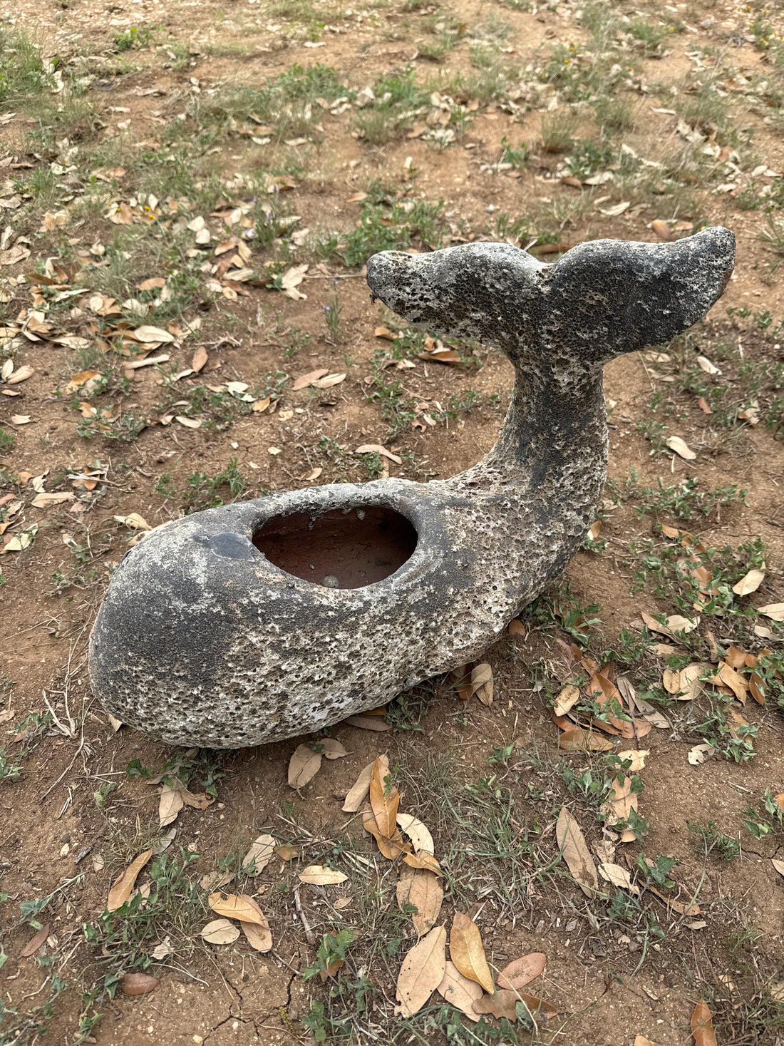 Oceanic White Whale Planter