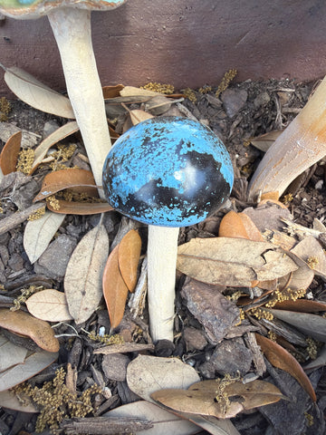 Blue Small Standard Mushroom