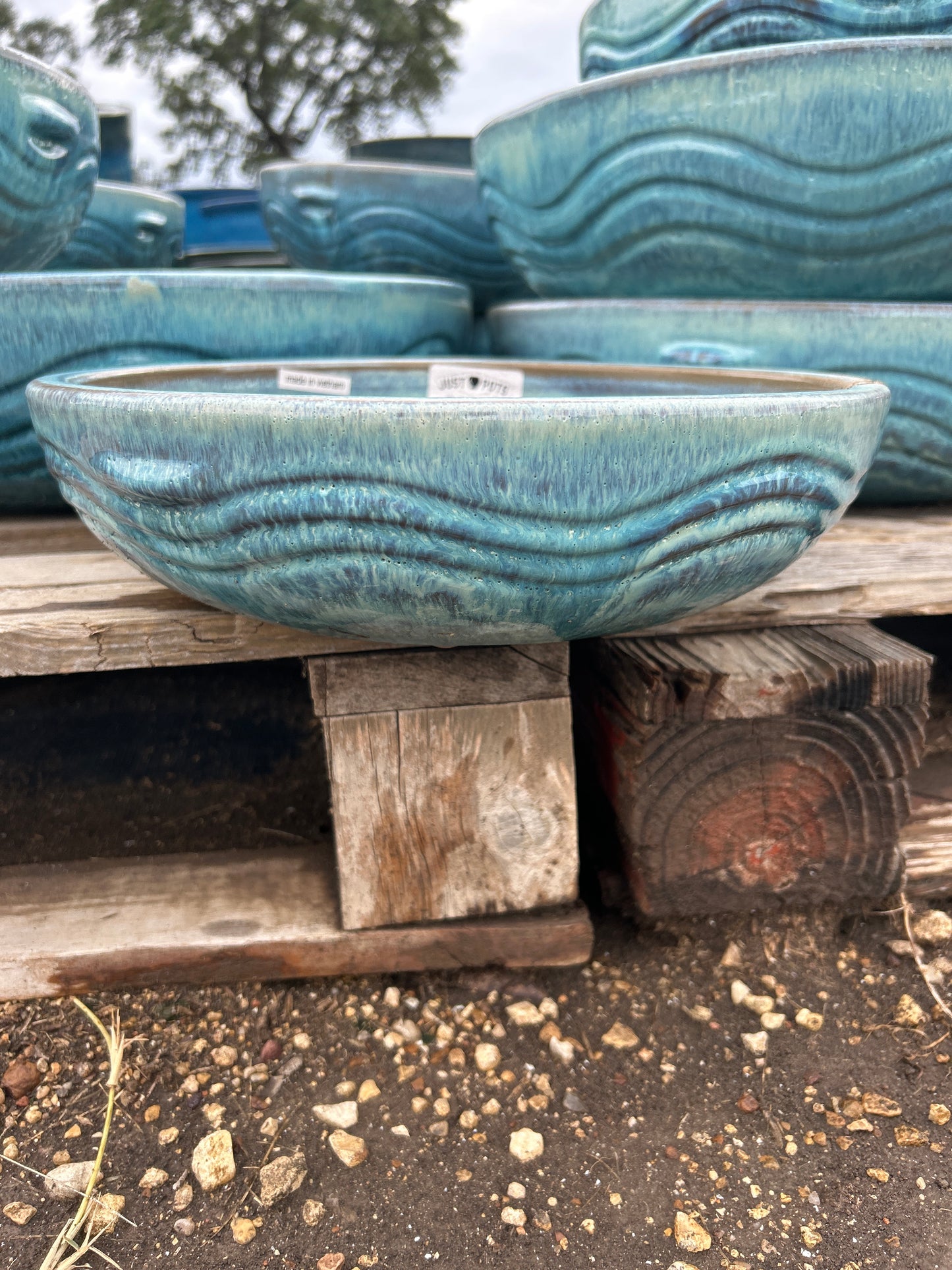 Milky Blue Wavy Low Bowl 4"