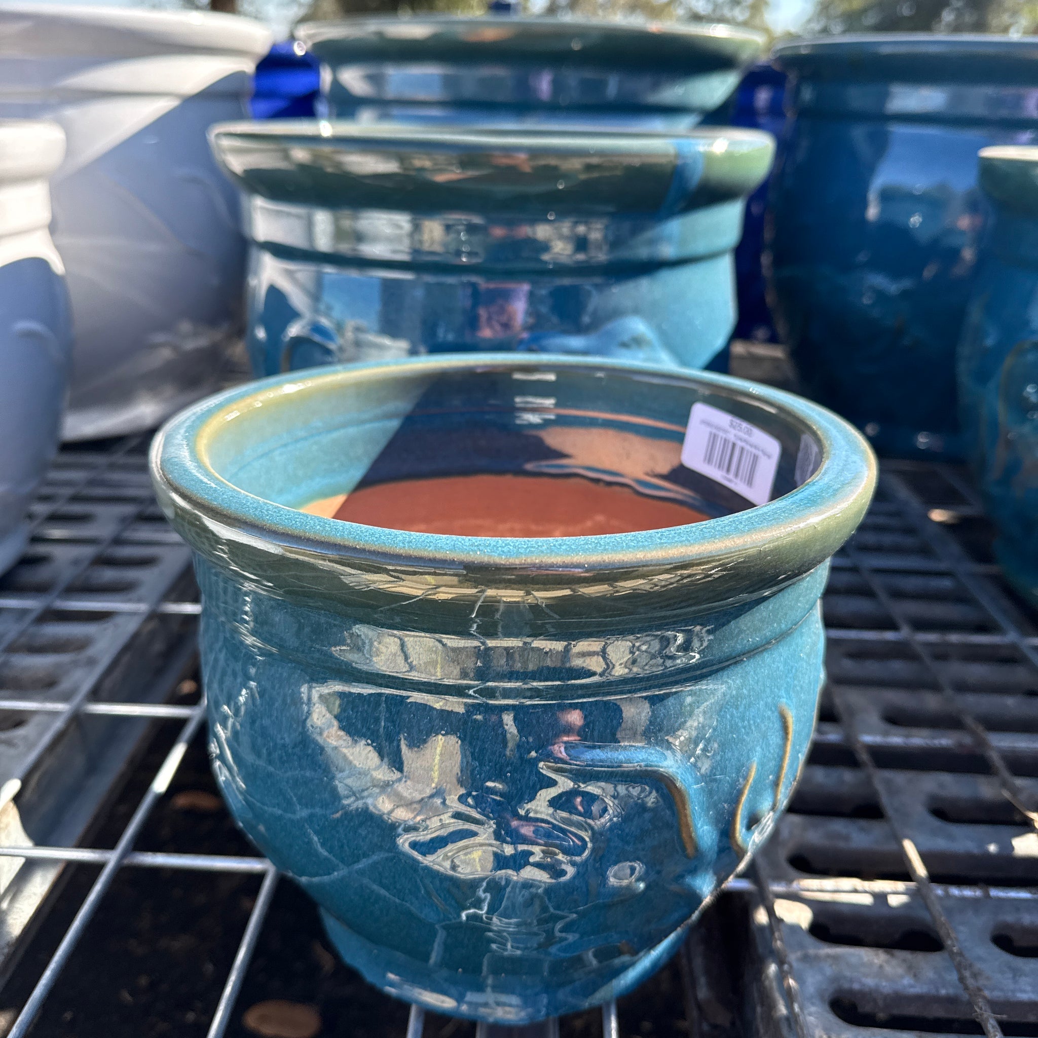 Turtle Flared Rim Planter