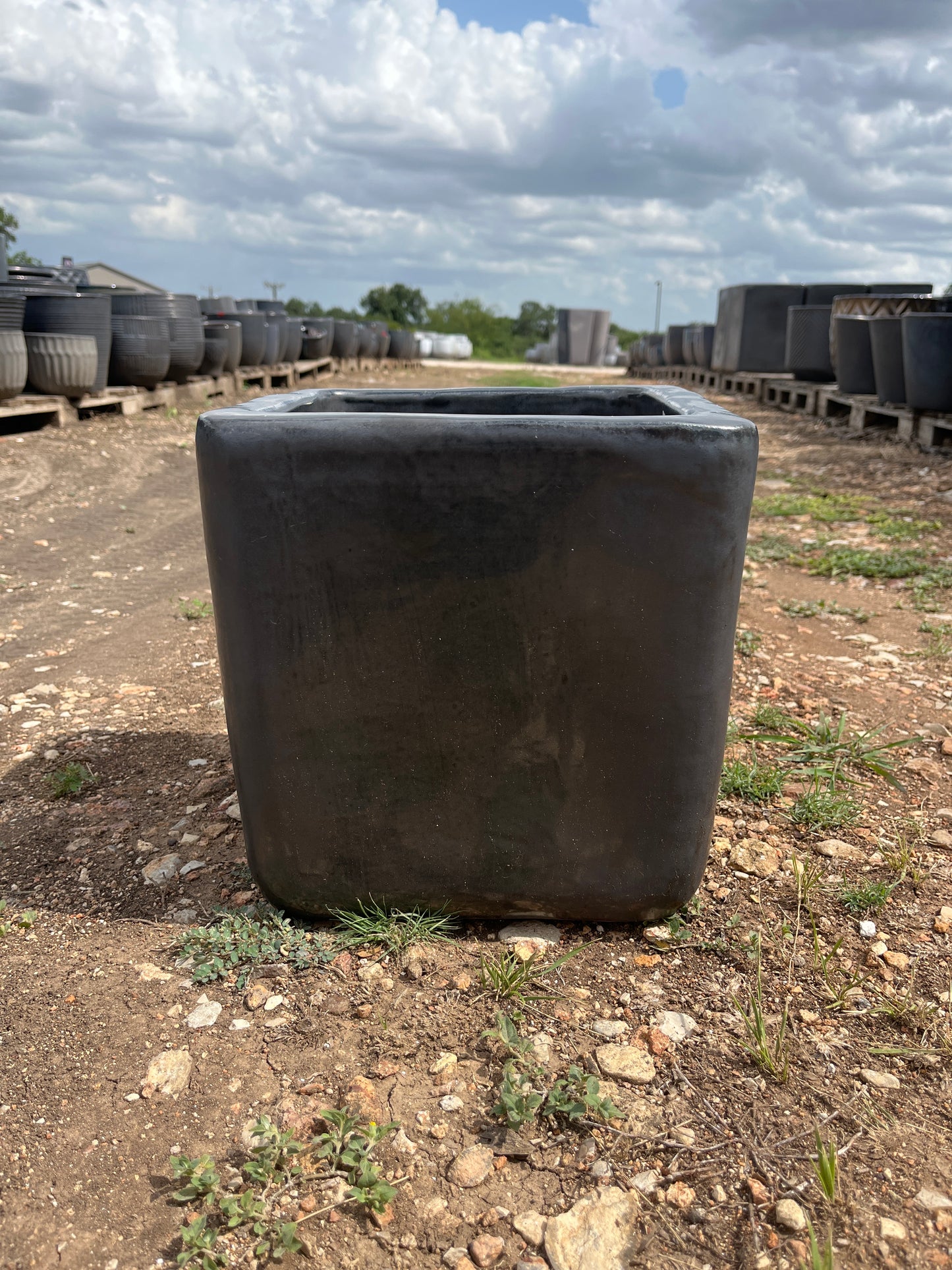 Matte Black Standard Cube Planter 19"