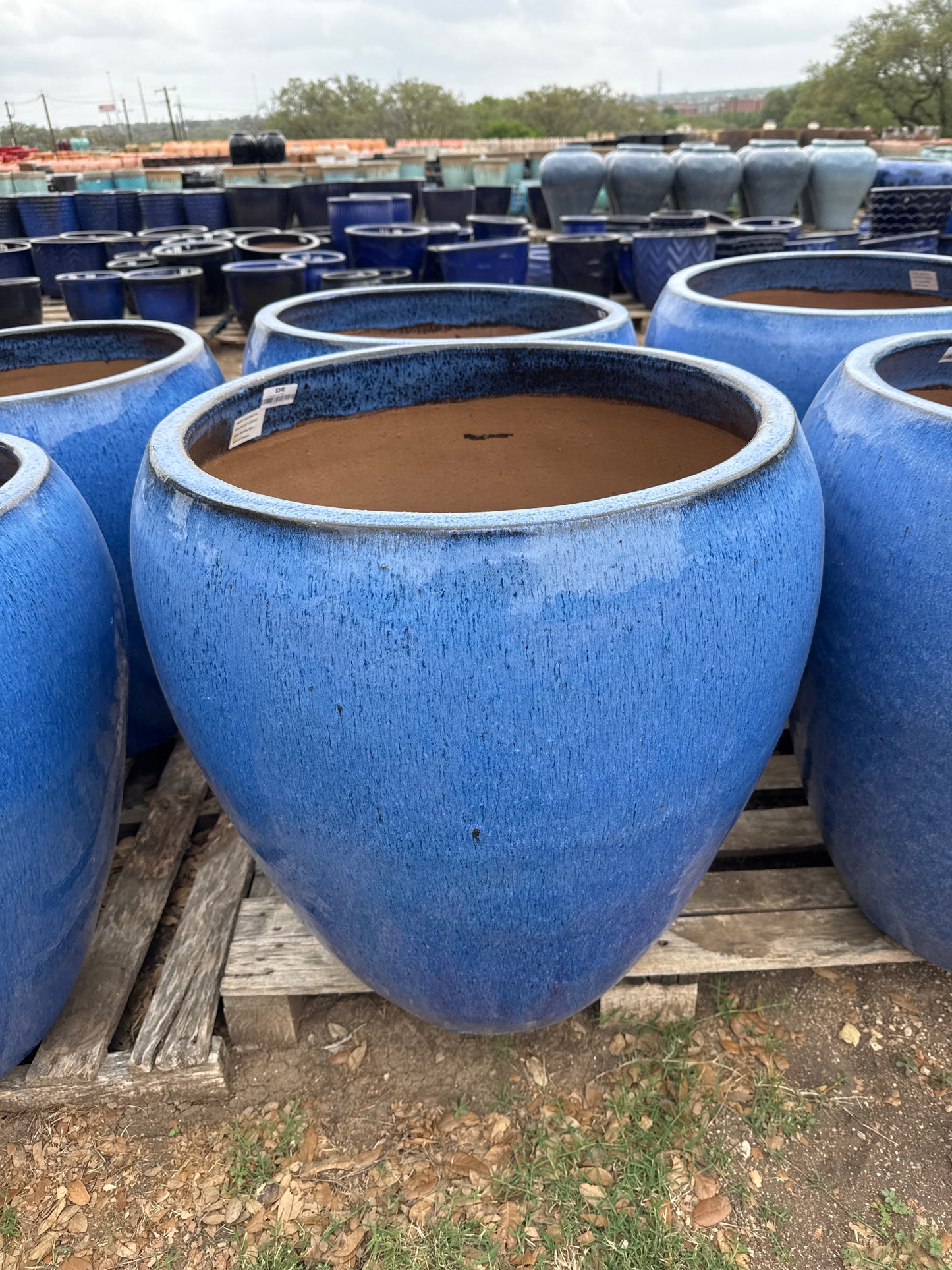 Running Blue Bowed Smooth Planter
