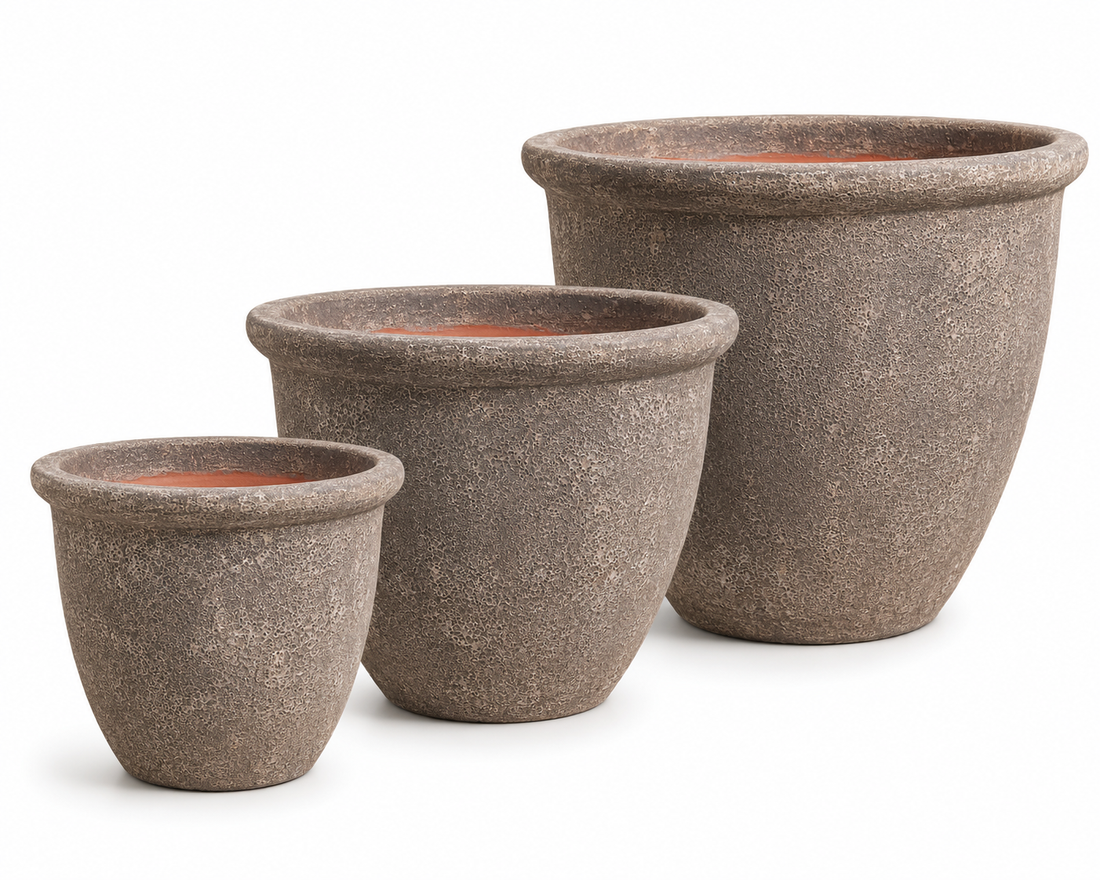 Wide Lipped Planter