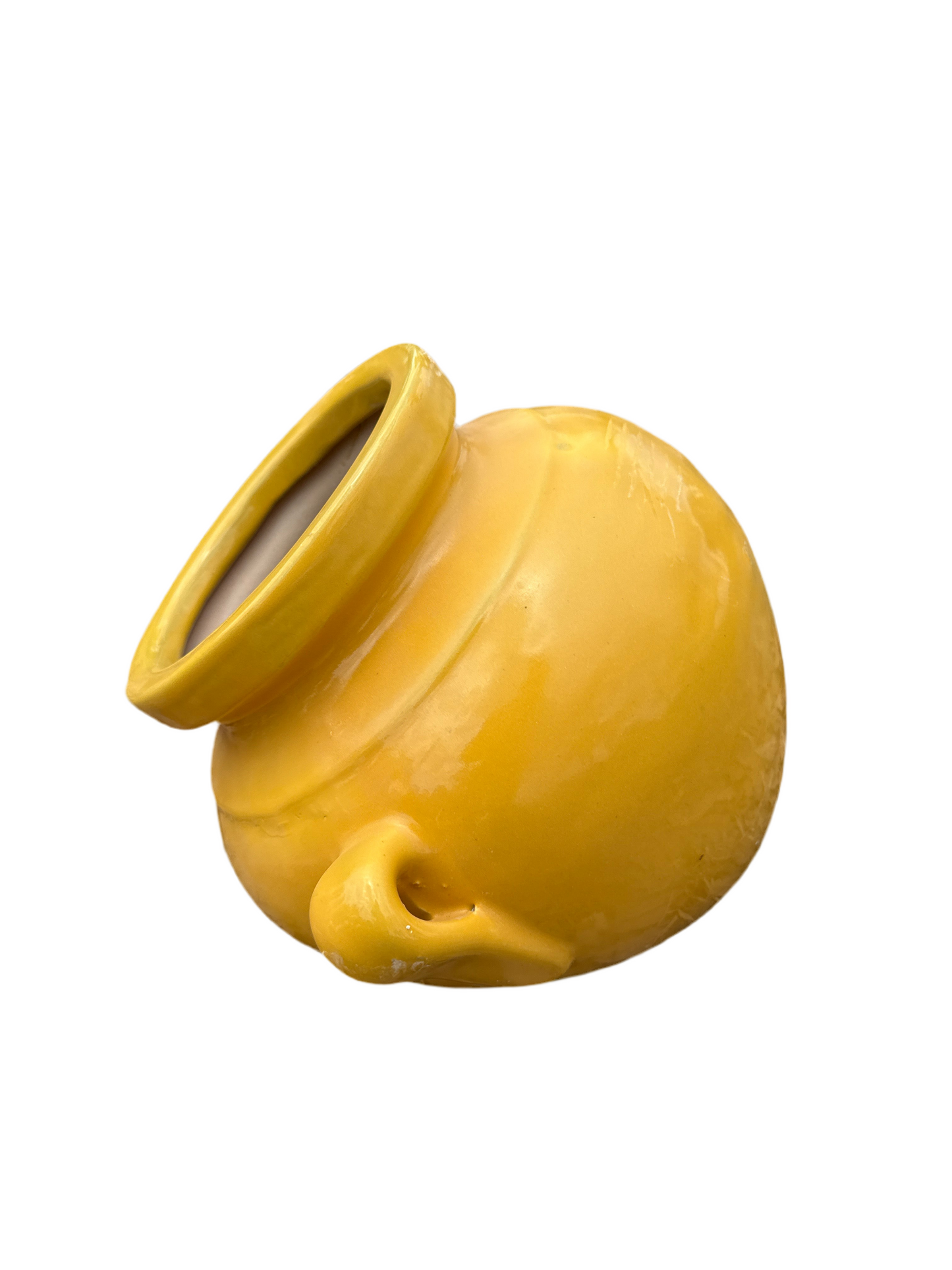 Mango Wallpot Planter