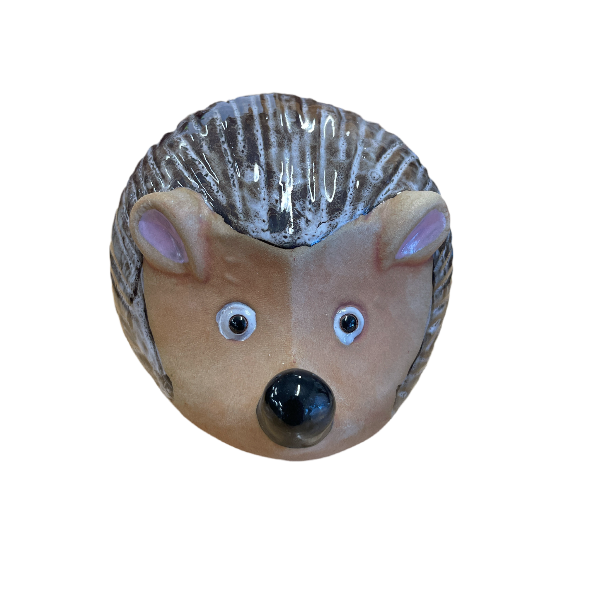 Large Hedgehog