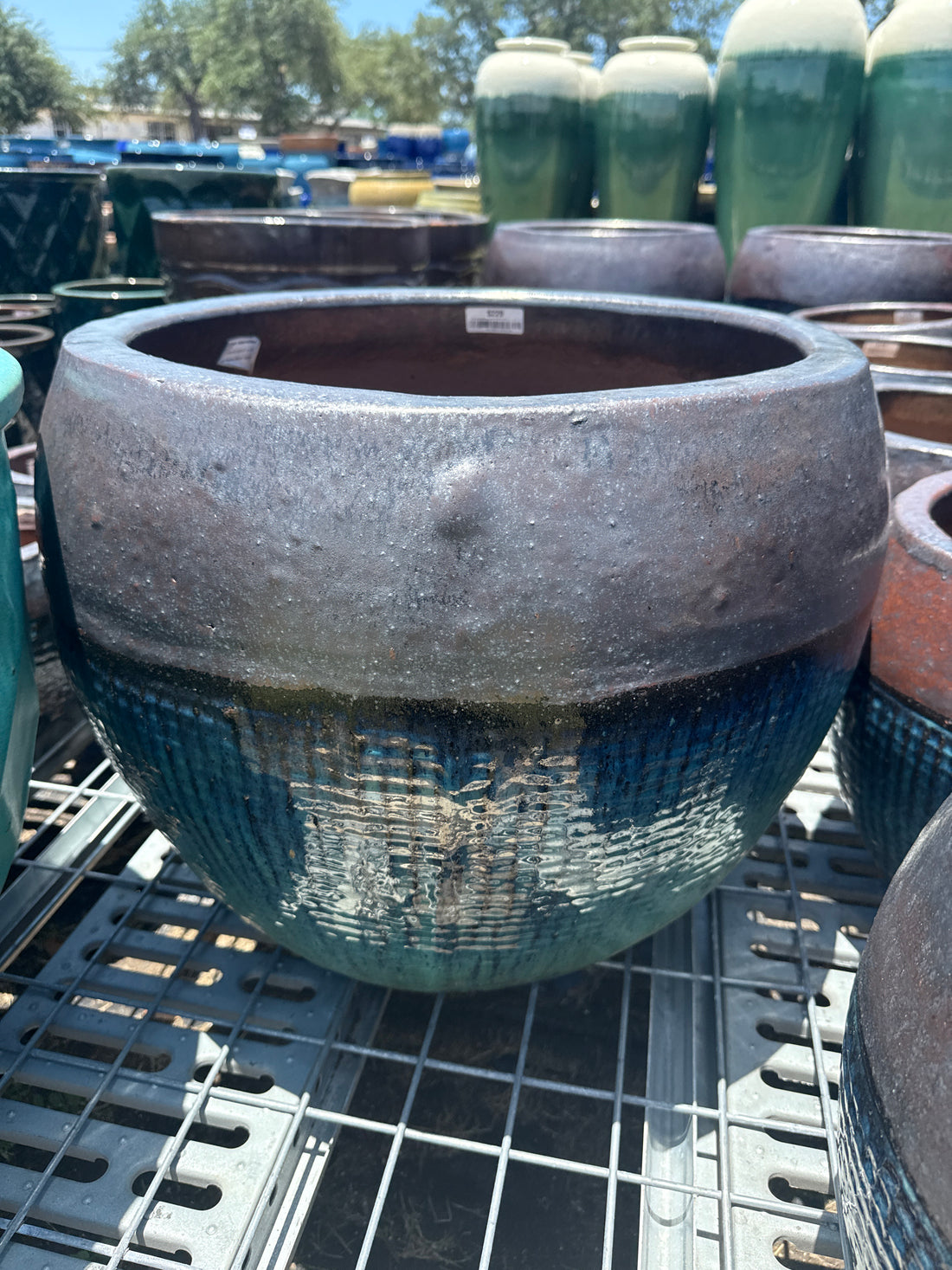 Jade over Matte Black Sphere Planter
