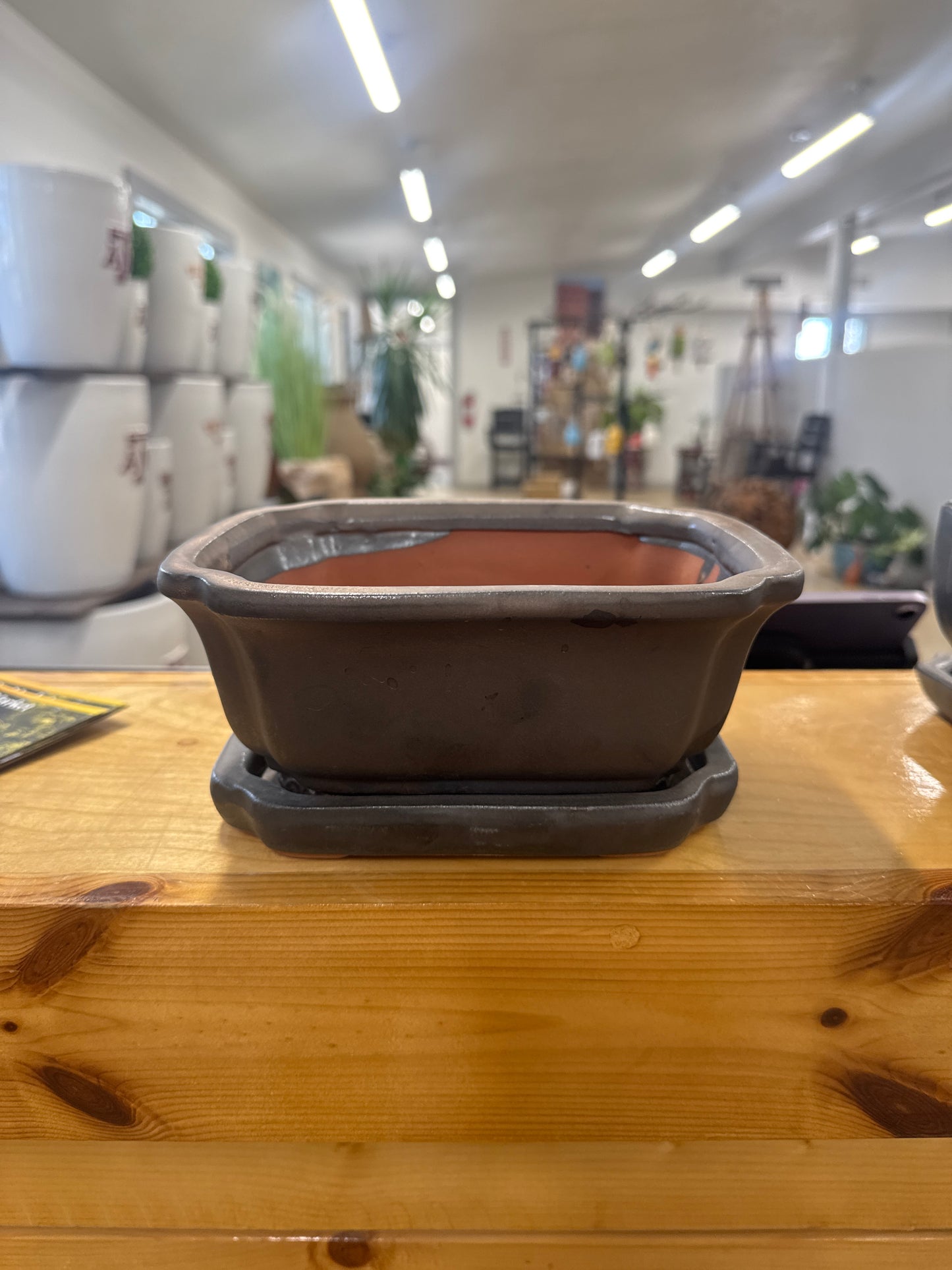 Bronze Crimped Bonsai Pot