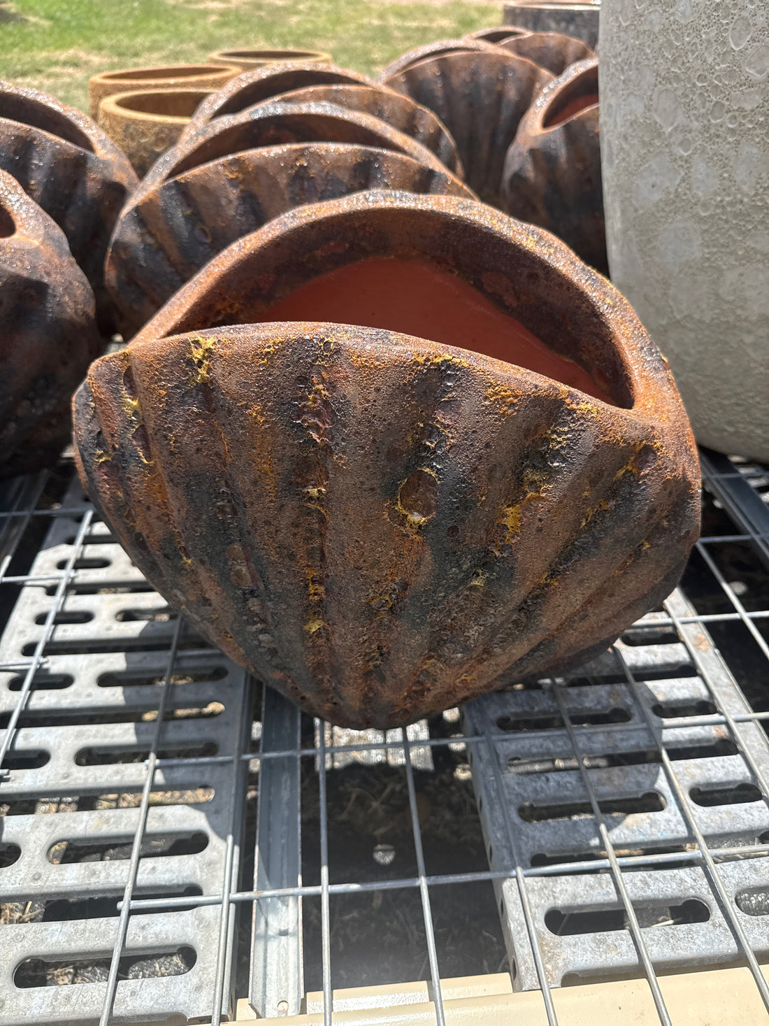 Scallop Planter