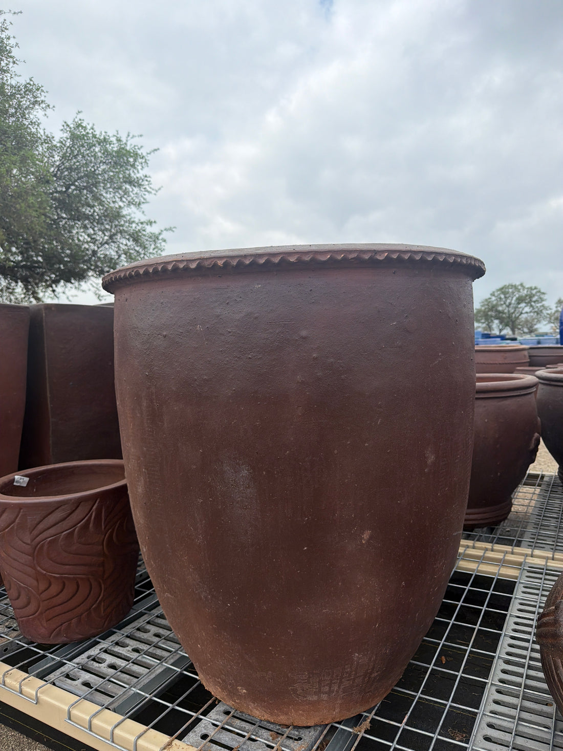 Pie Crust Planter