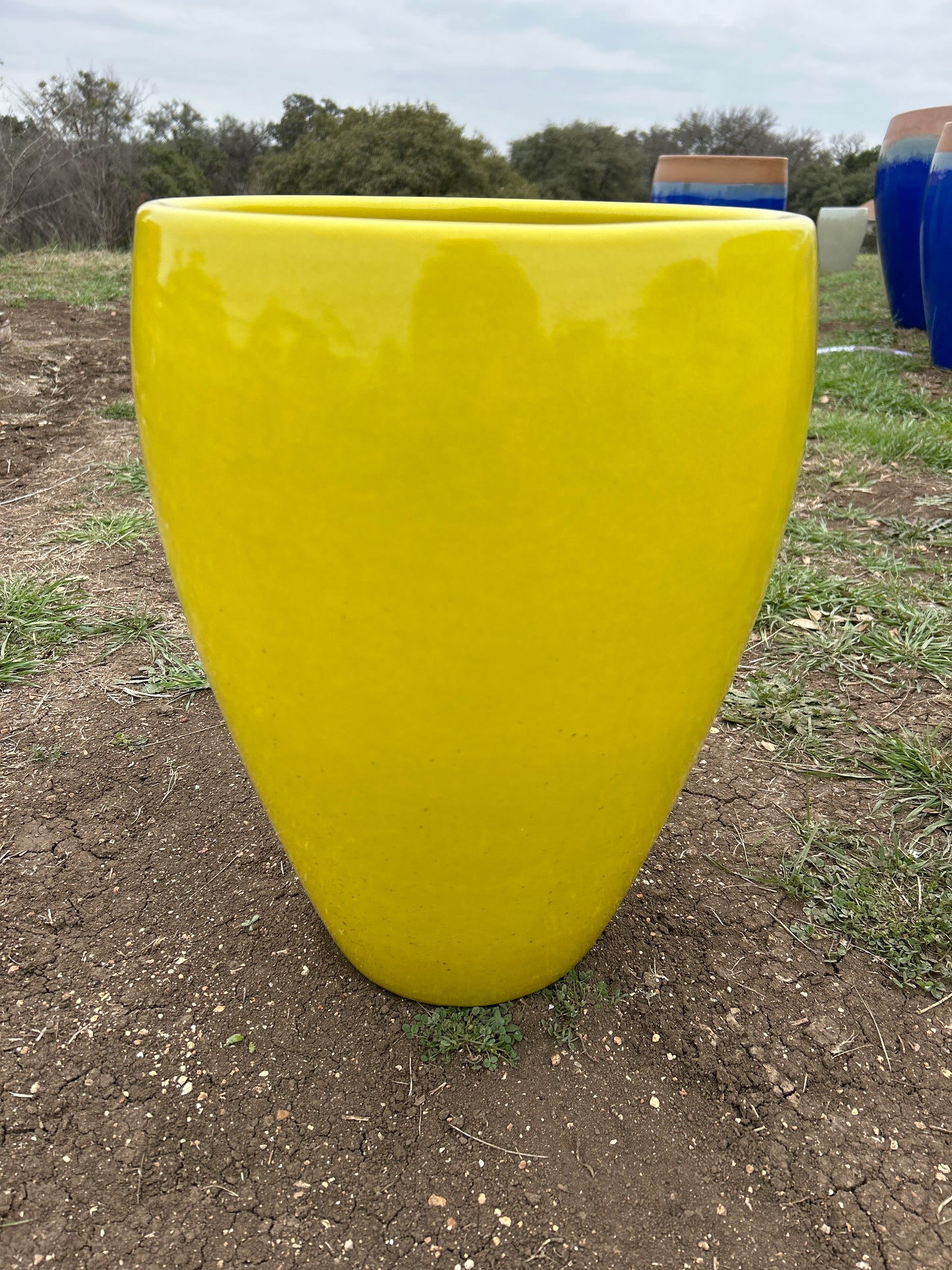 Yellow Bowed Smooth Planter 17"