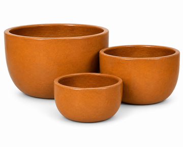 Orange Carrot Quinta Bowl Planter