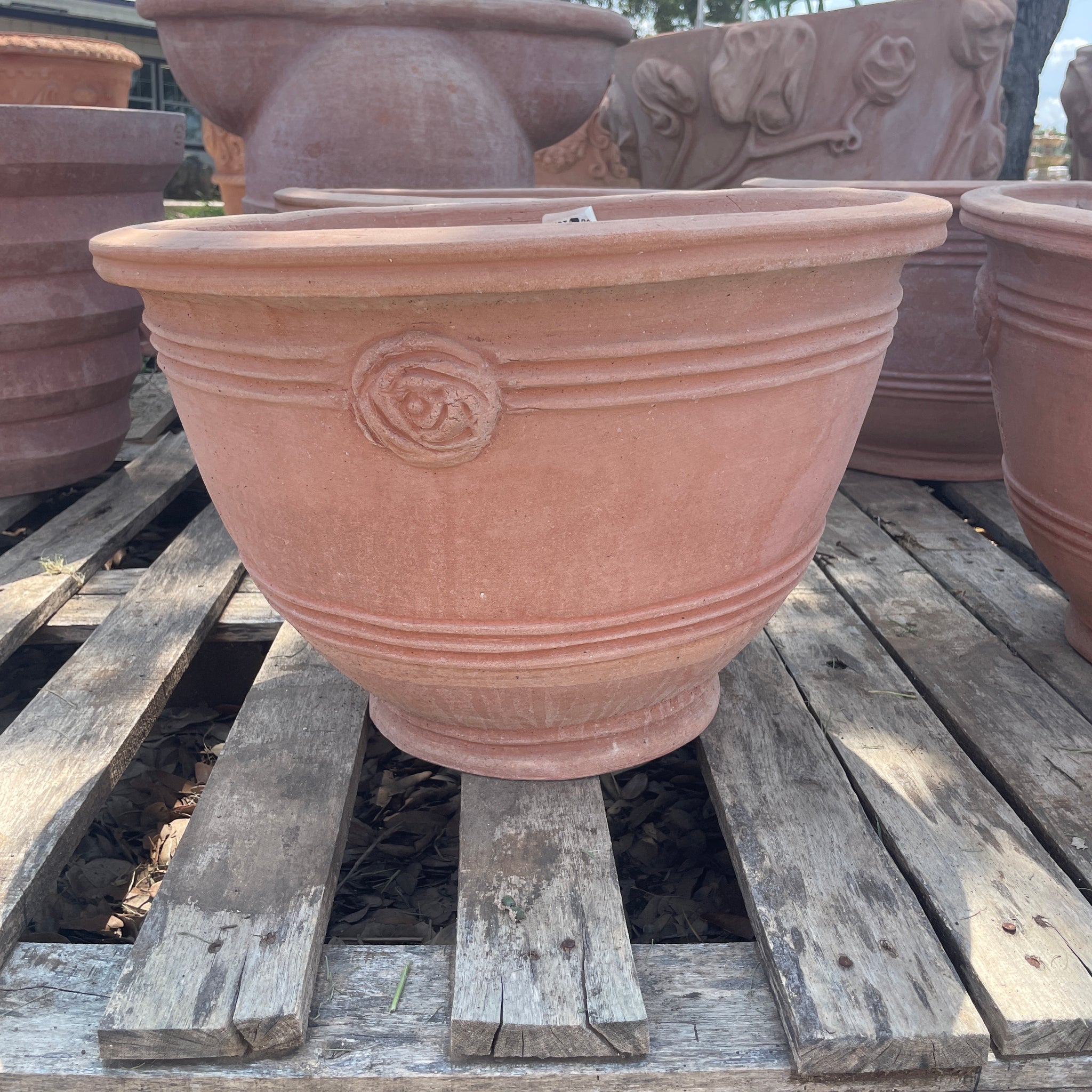 Italian Basin w Rosettes 12"