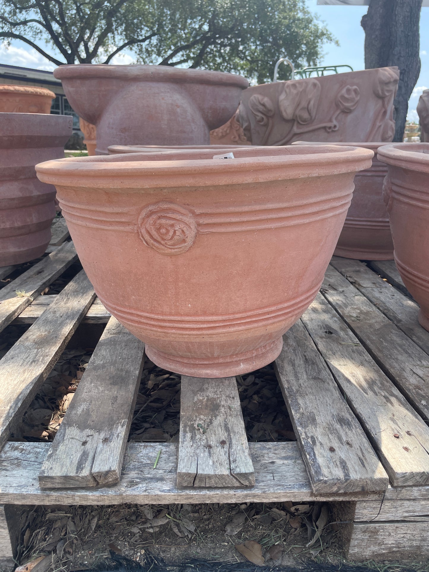 Italian Basin w Rosettes 12"