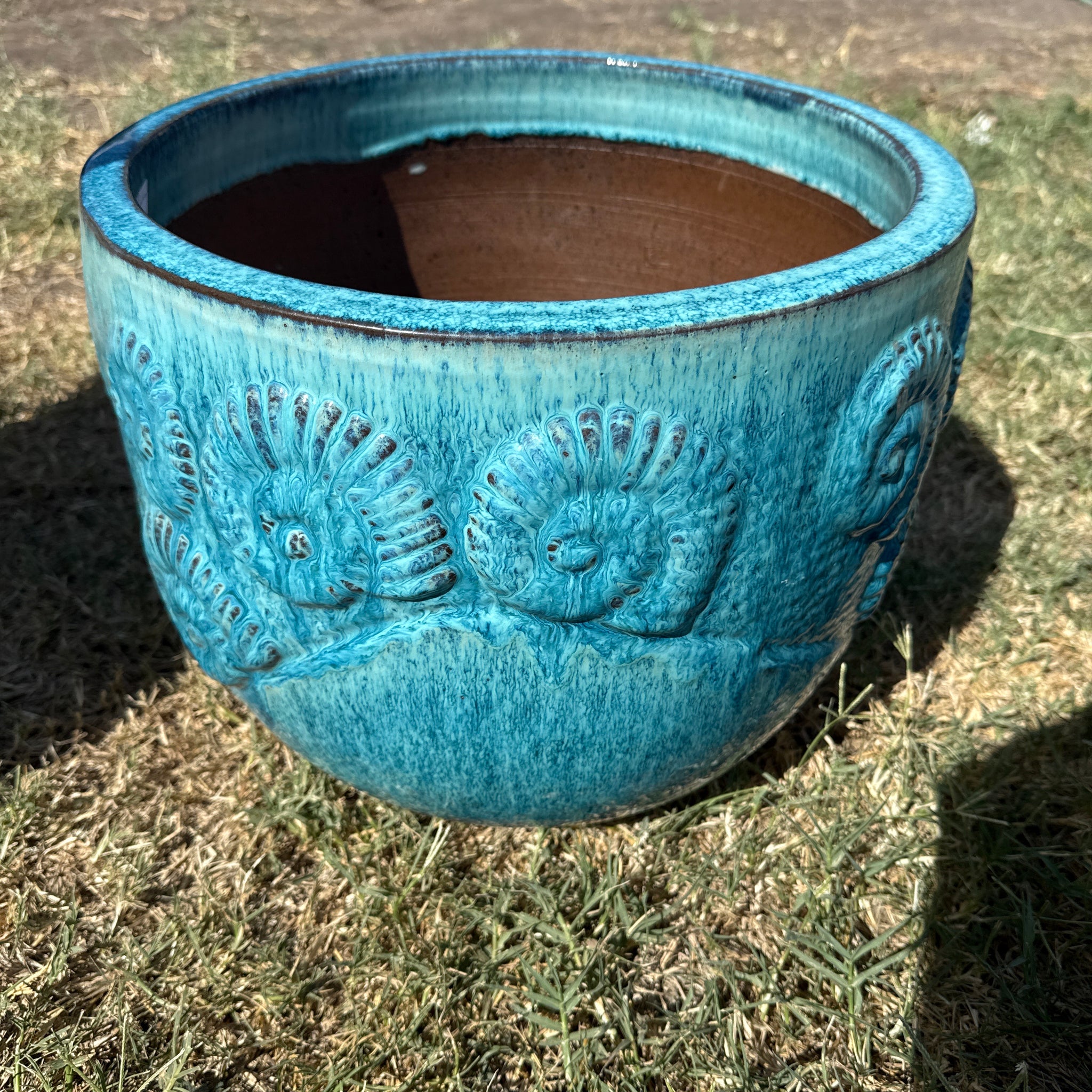 Ammonite Planter