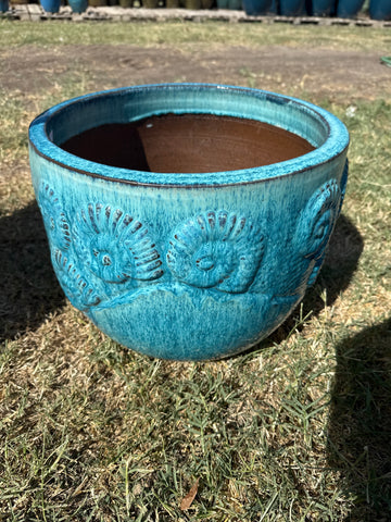 Ammonite Planter