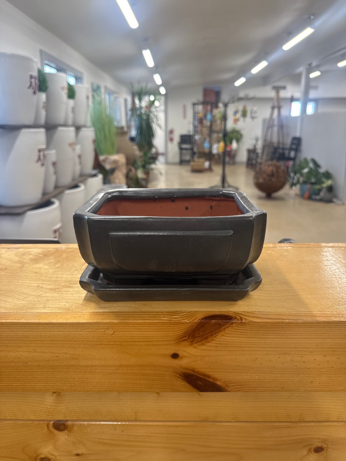 Matte Black Octagon Bonsai Pot