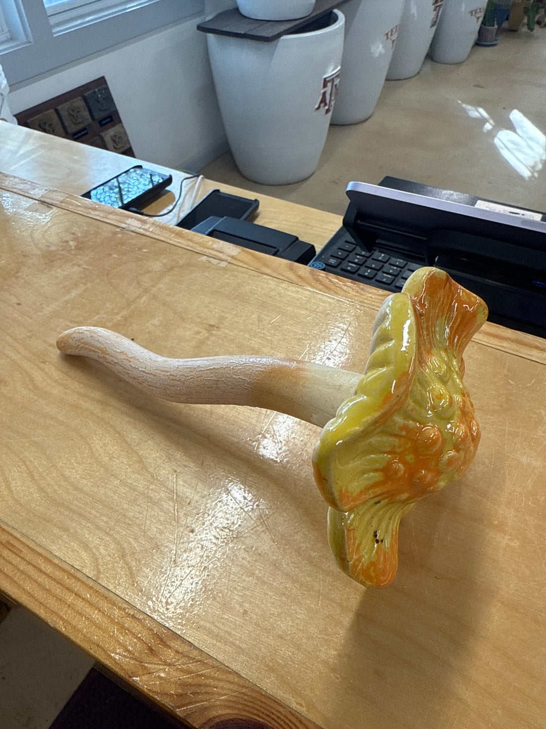 Yellow Flat Mushroom