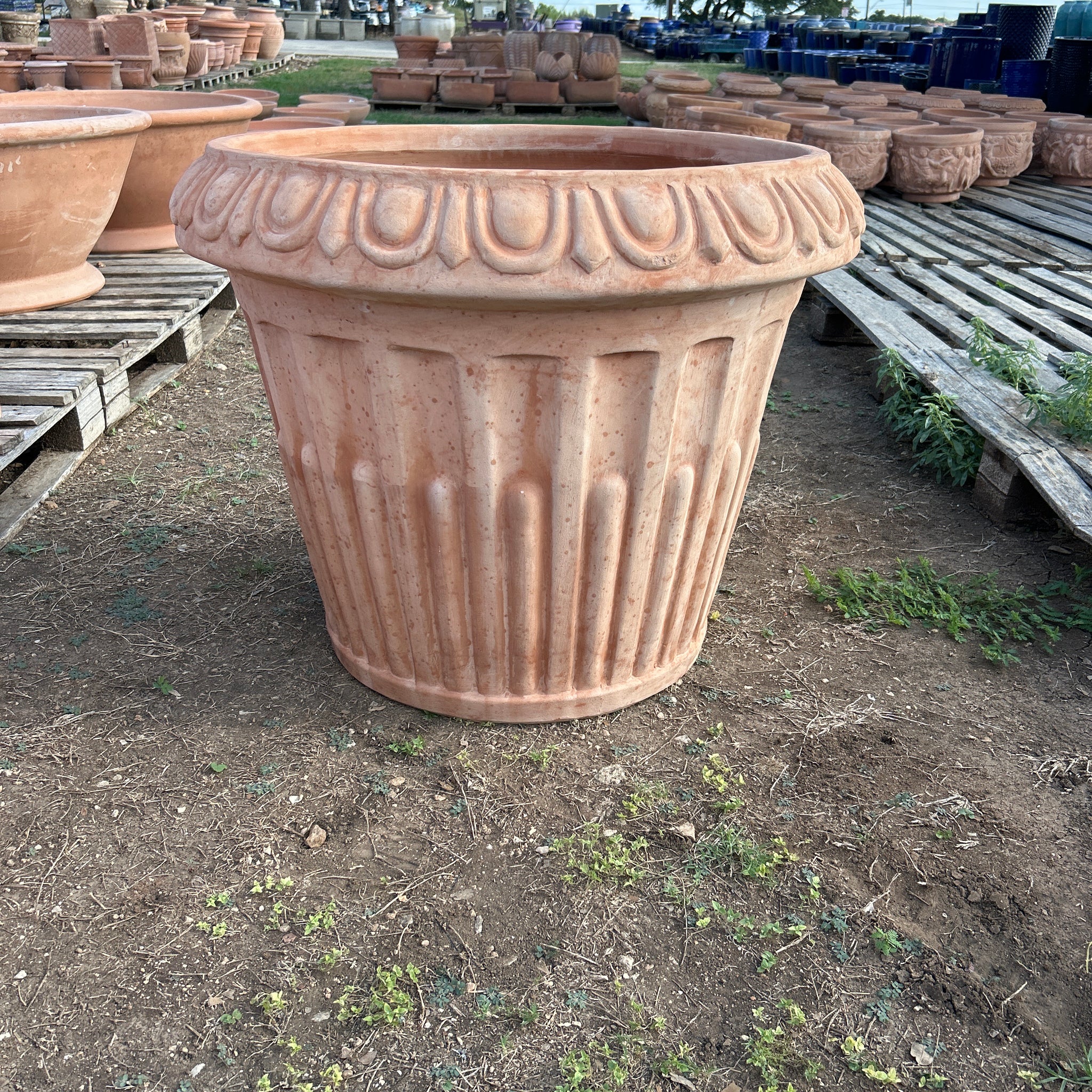 Vaso Baccellato