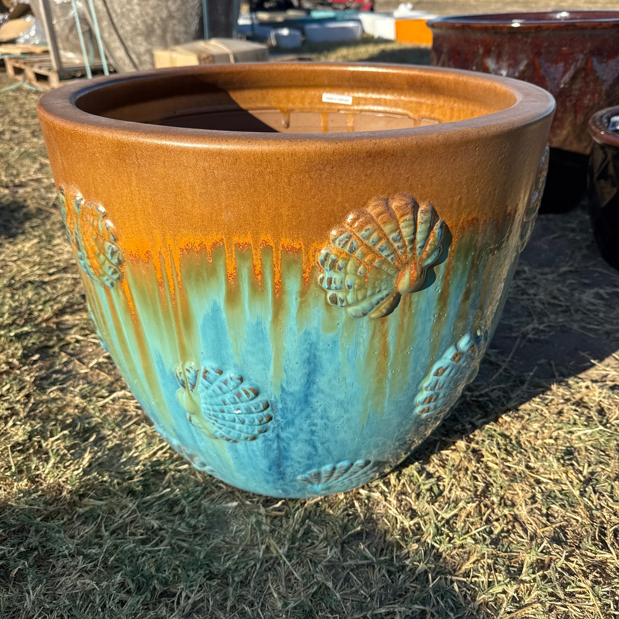 Scallop Egg Planter