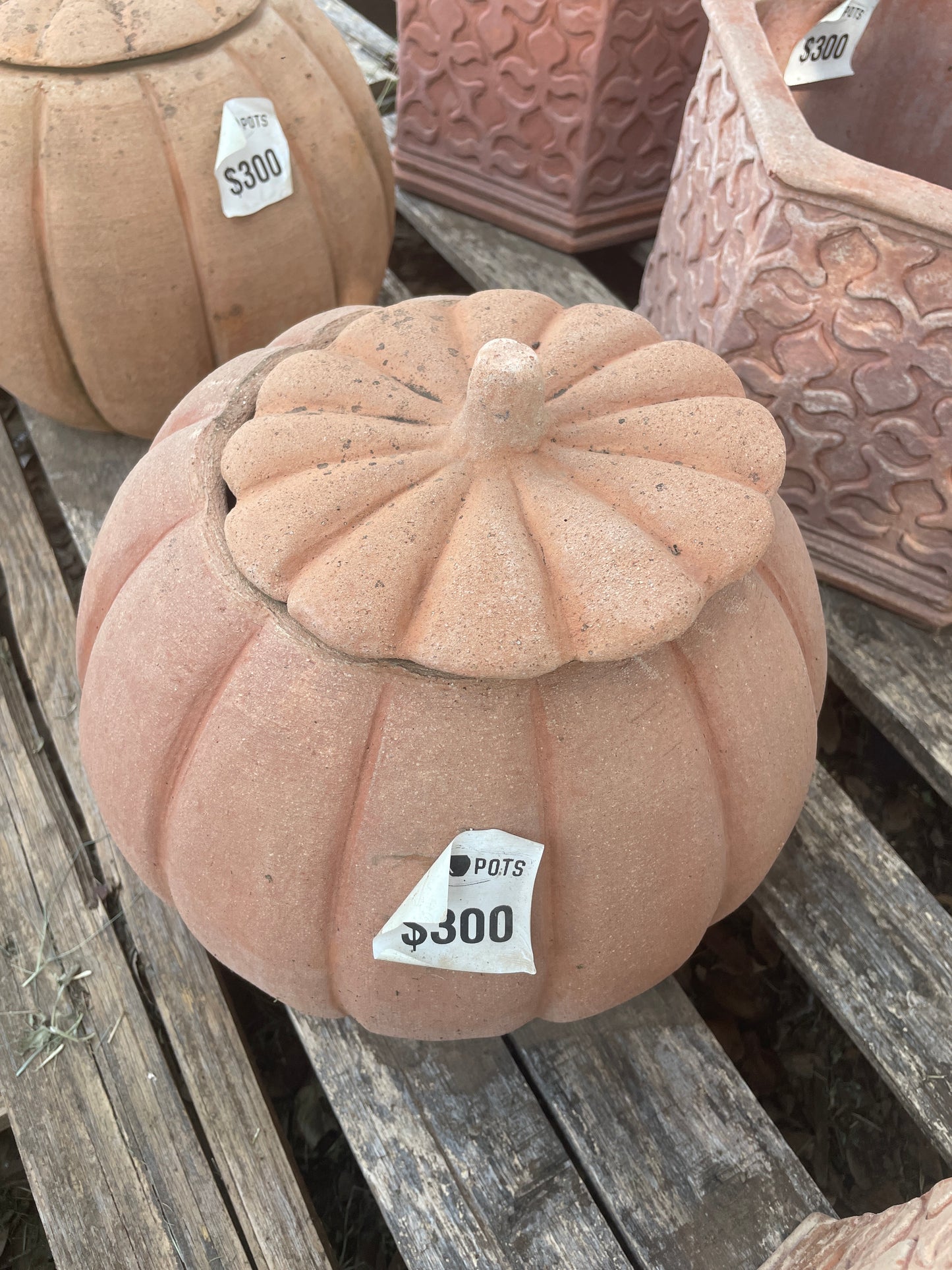 Italian Pumpkin Pot 11"