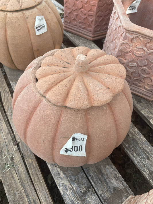 Italian Pumpkin Pot 11"