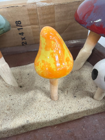 Yellow Small Cone Mushroom