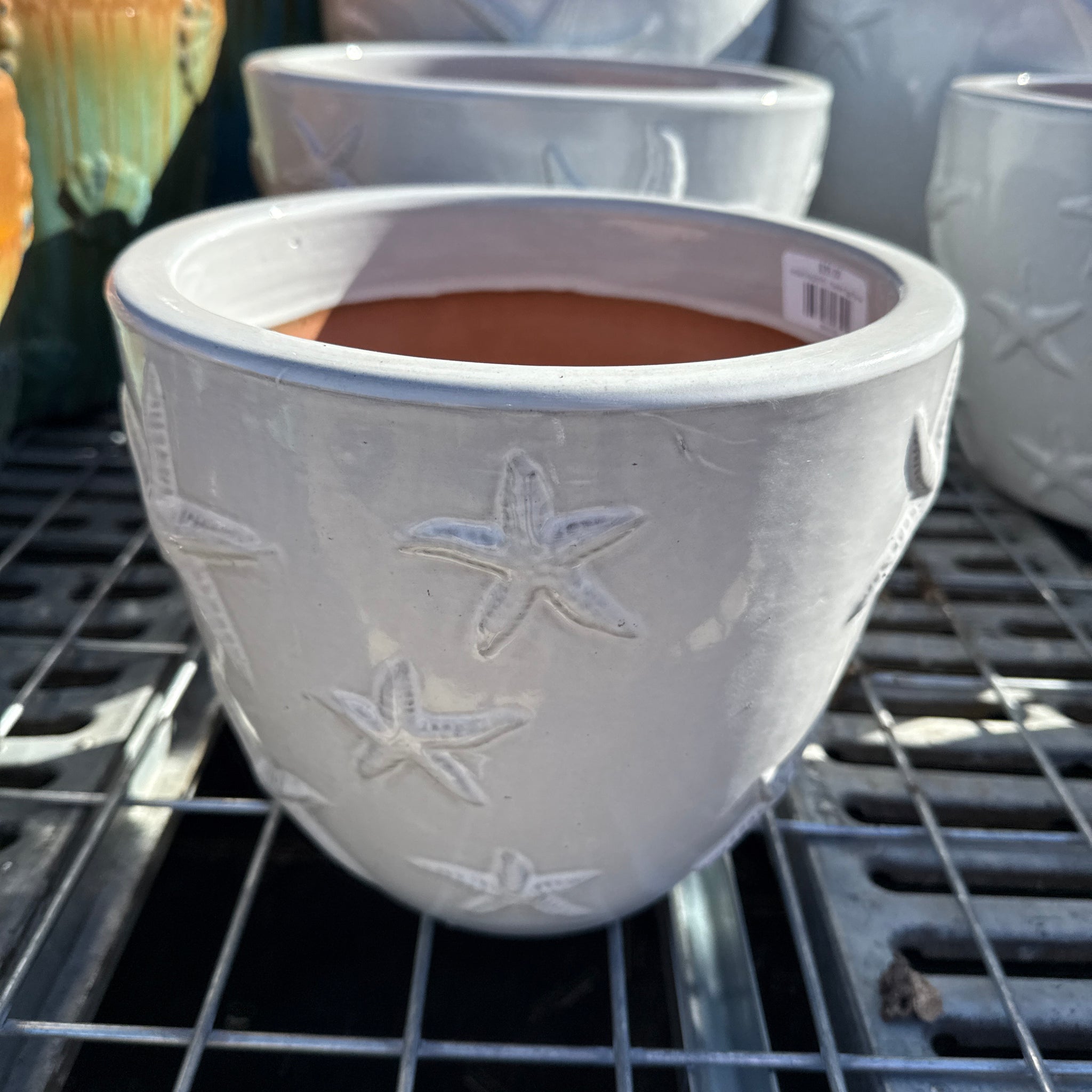 Starfish Egg Planter