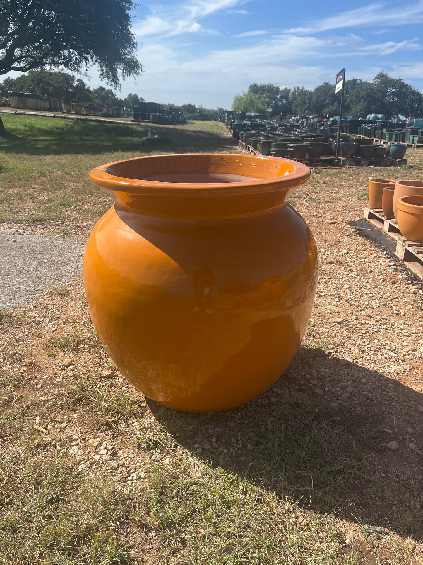 Orange Bulb Planter 28"