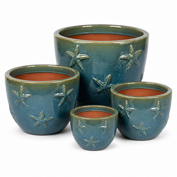 Starfish Egg Planter