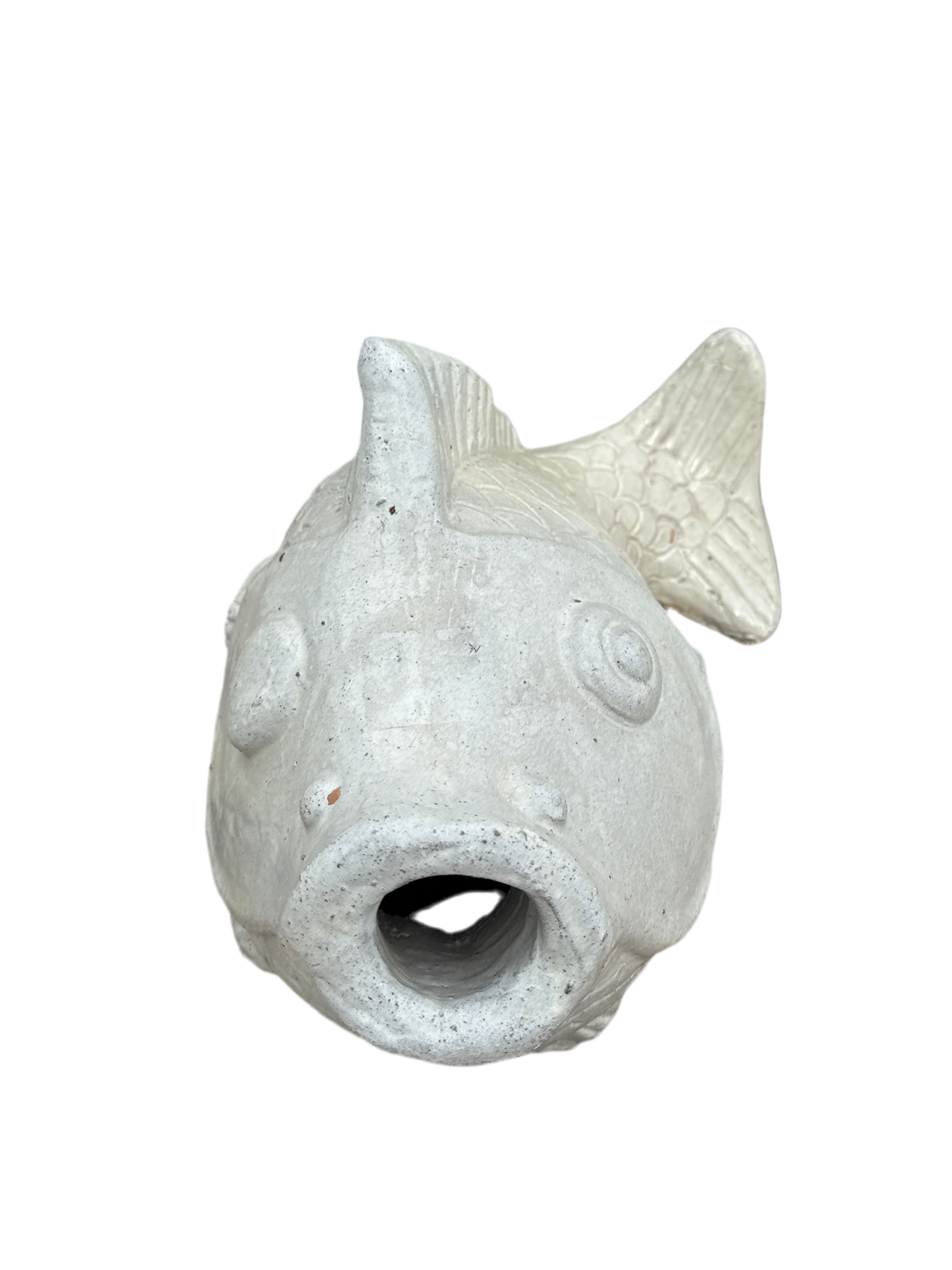White Acadian Fish