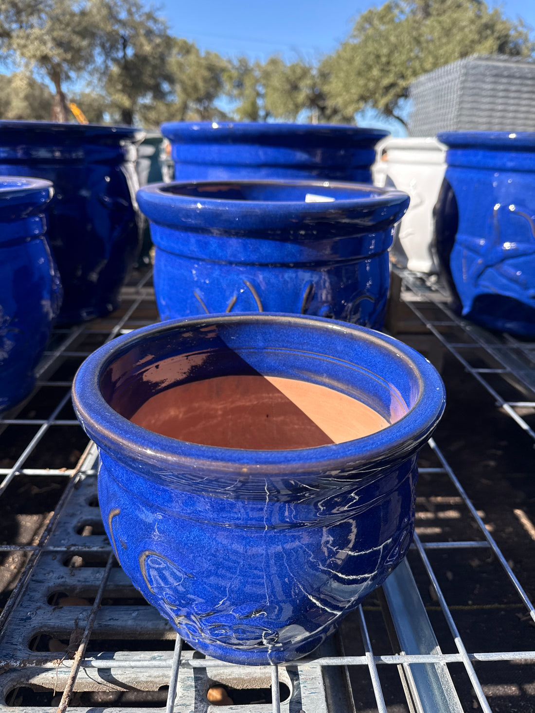 Turtle Flared Rim Planter