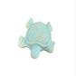 Sea Turtle