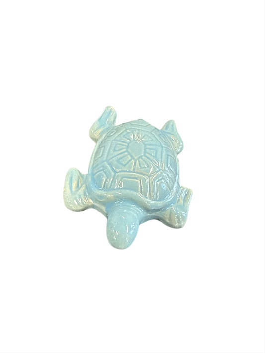 Sea Turtle