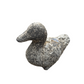 Oceanic White Duck