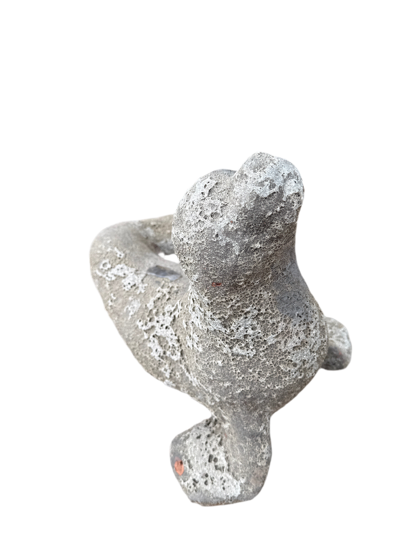 Oceanic White Seal