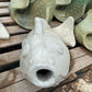 White Acadian Fish