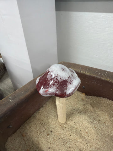 Red Small Cone Mushroom