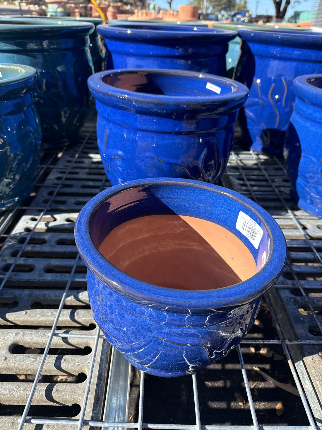 Starfish Flared Rim Planter