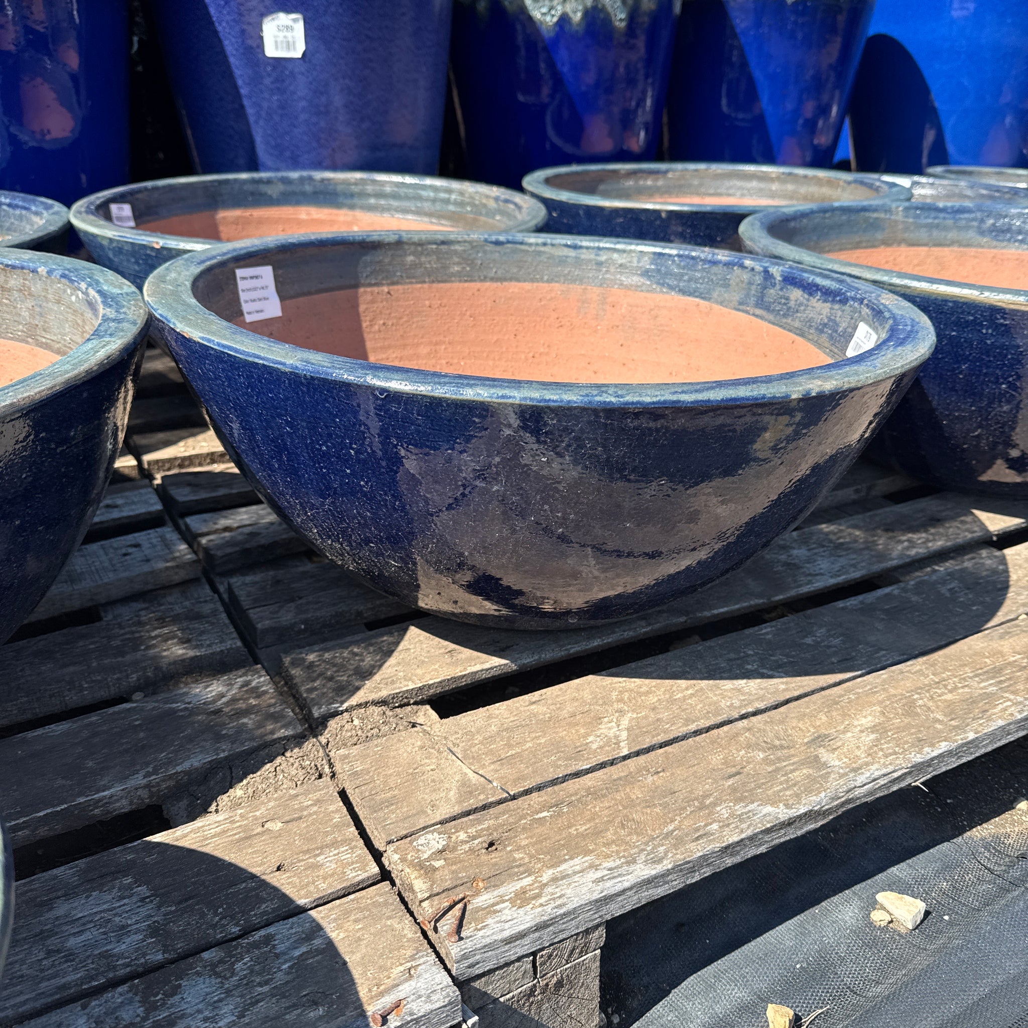 Bowl Planter