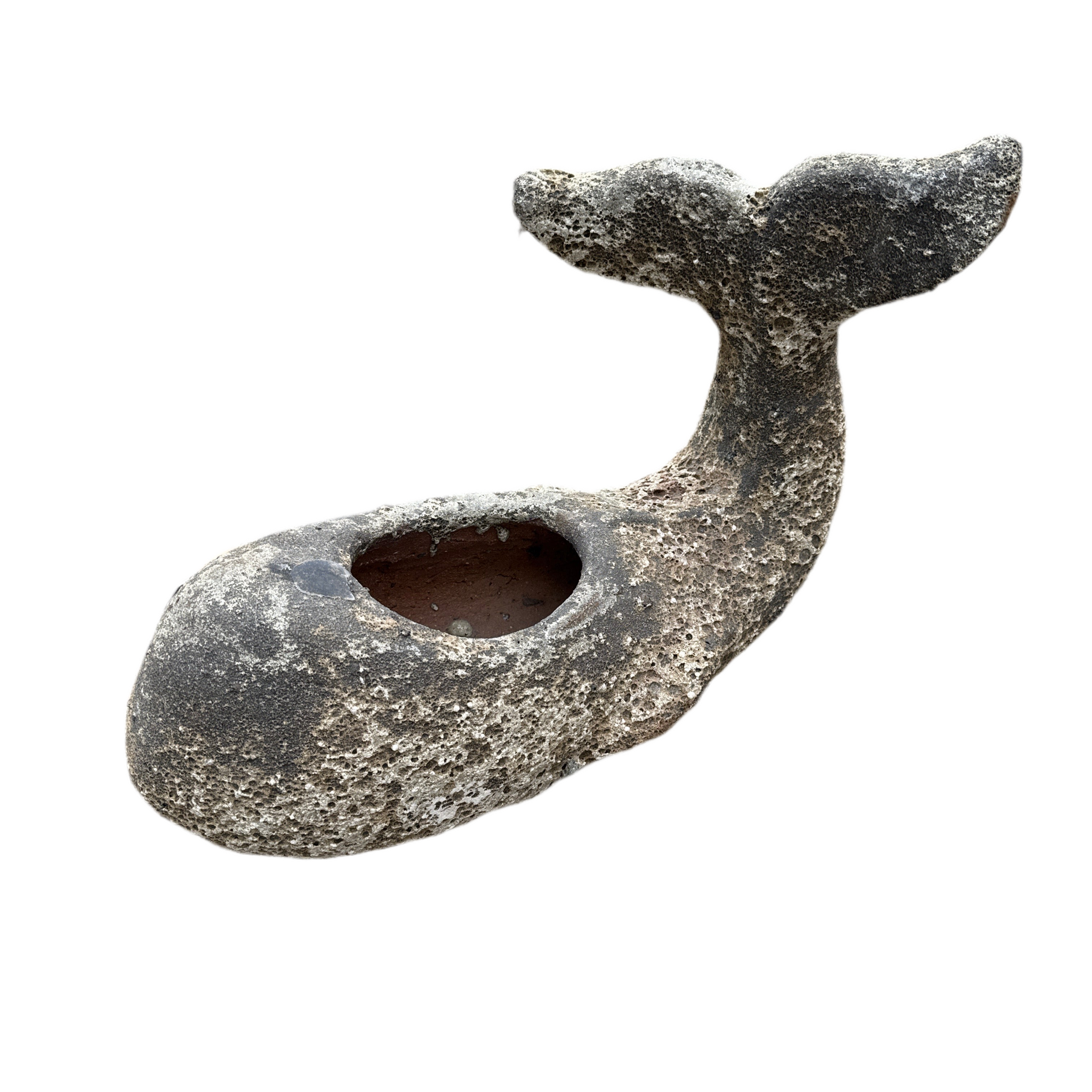 Oceanic White Whale Planter