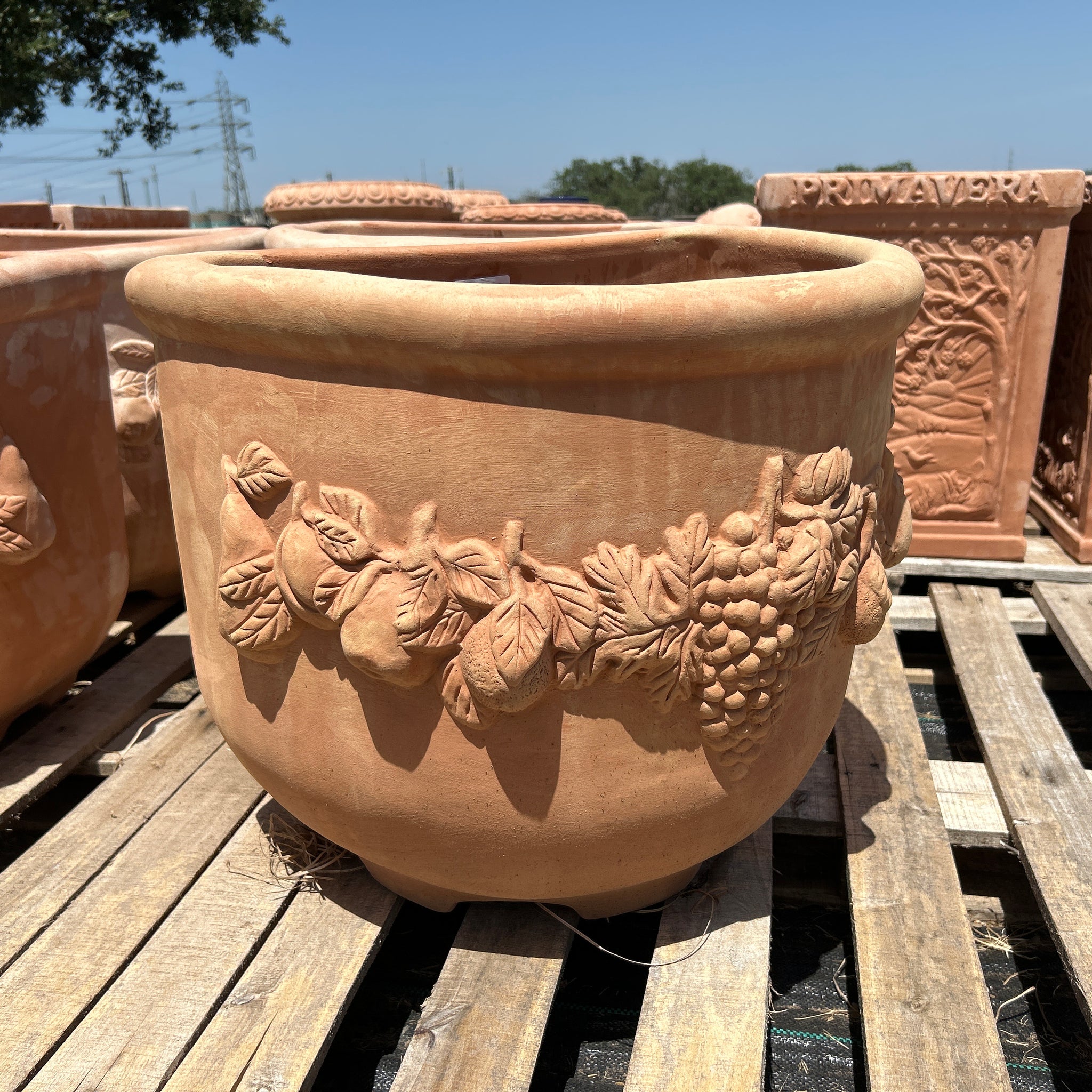 Vaso Frutta a Parete